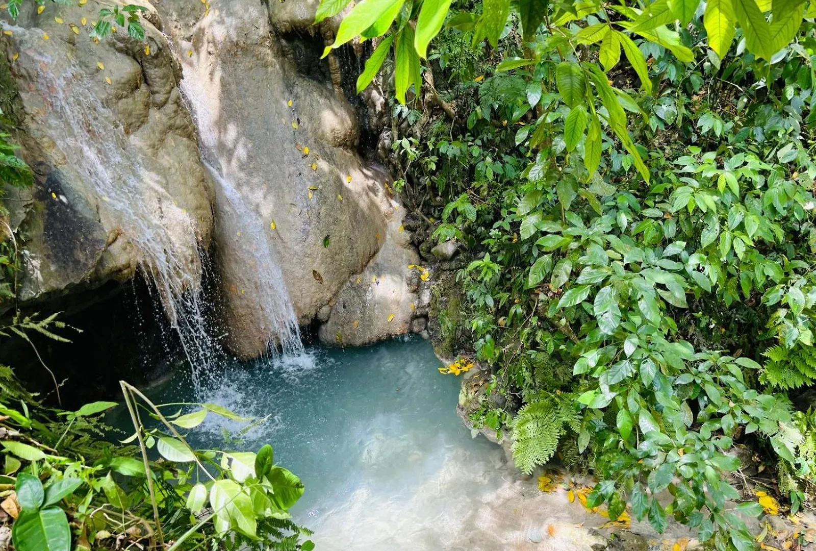 Tsg Sys Palace Spring Garden Jamaica